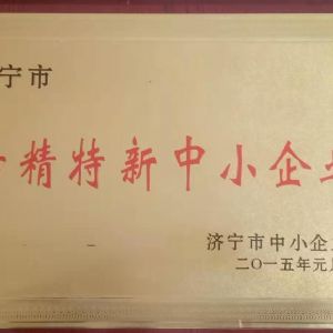 濟寧市專(zhuān)精特新中小企業(yè)